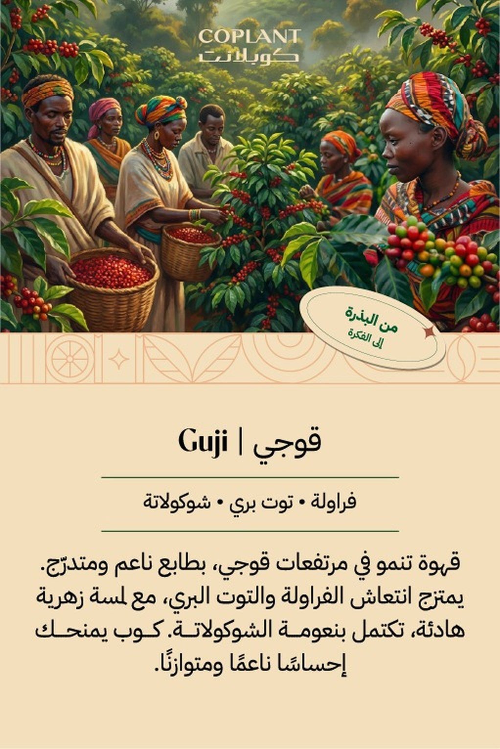 باريتا | Parrita